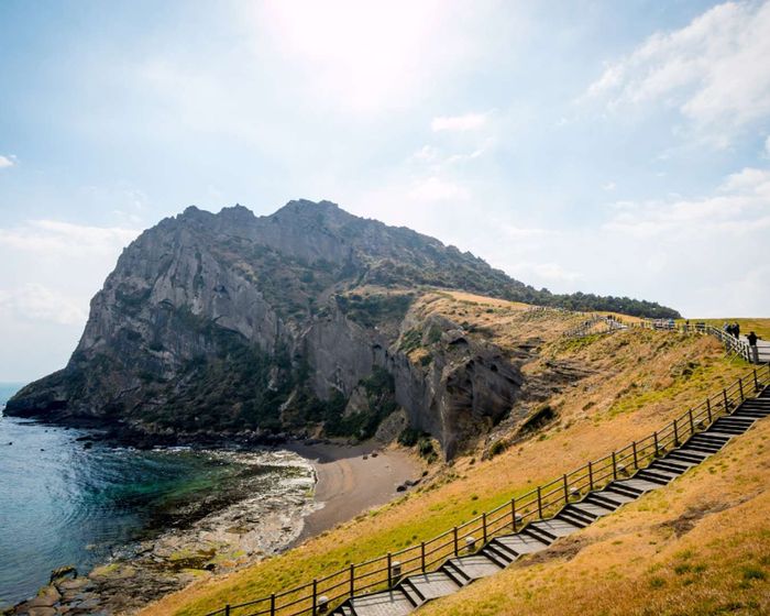 cách di chuyển từ sân bay Jeju về trung tâm