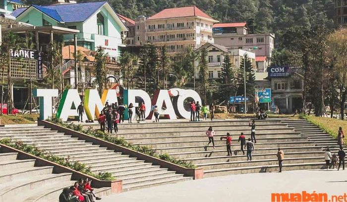 Tháng 11 nên đi du lịch ở đâu - Tam Đảo