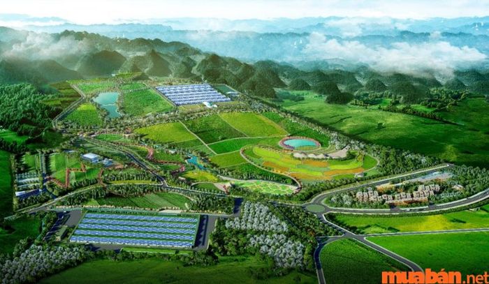 Vẻ đẹp của Mộc Châu vào tháng 11 thật sự quyến rũ.