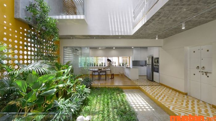 Phong cách Biophilic