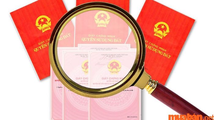 Xác minh giấy chứng nhận sở hữu đất