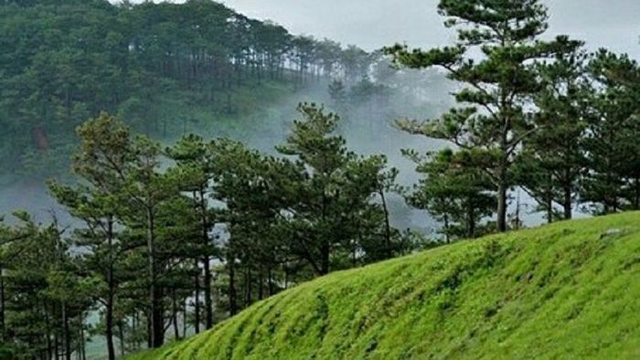 Độ cao của đỉnh núi Hòn Bồ (Ảnh: sưu tầm)