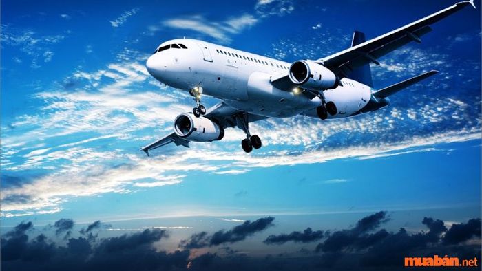 Kinh nghiệm du lịch Quy Nhơn 3 ngày 2 đêm - Đặt vé trước khi tới Quy Nhơn