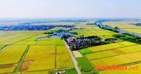 thời hạn sử dụng đất 50 năm