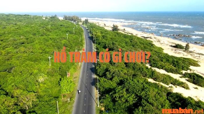 Hồ Tràm có những hoạt động gì? Những điểm đến bạn không nên bỏ lỡ khi ghé thăm Hồ Tràm