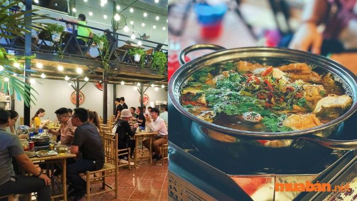 Các món ăn từ gà tại đây rất ngon và hấp dẫn.