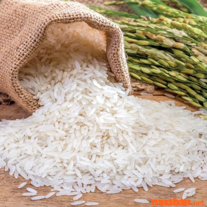 Gạo nếp nương Mộc Châu