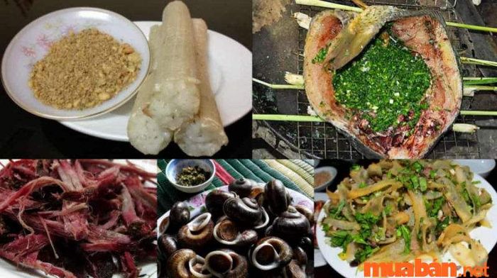 Đặc sản nổi bật của Sơn La là gì?