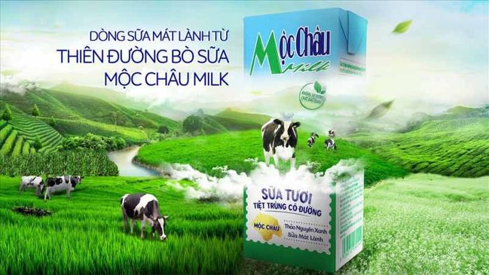 Sữa bò Mộc Châu
