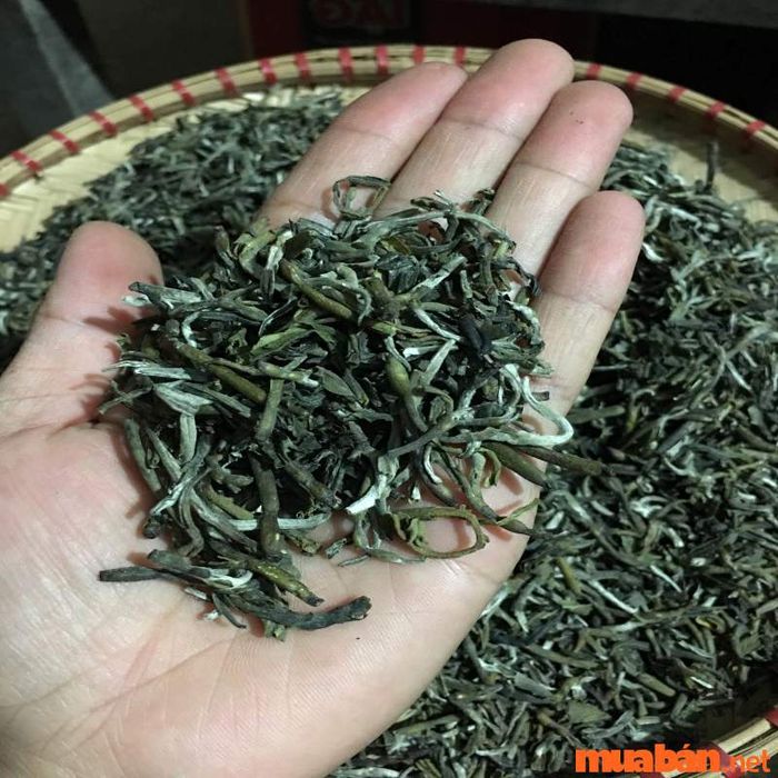 Chè Tà Xùa