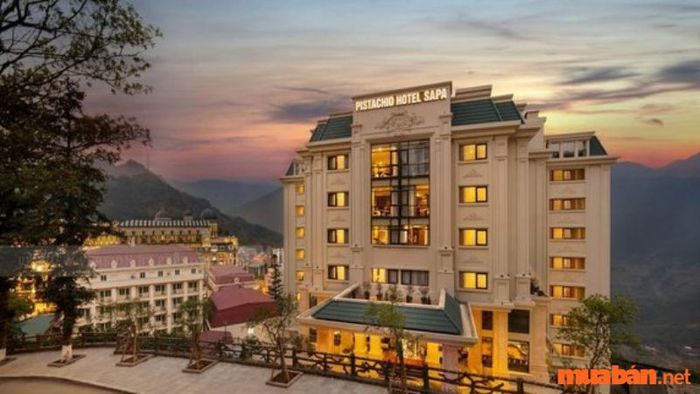 Gợi ý một số khách sạn giá rẻ gần Cổng trời Sapa – Pistachio Hotel Sapa