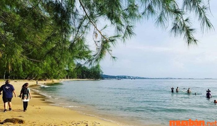 Hoạt động đầu tiên khi đến biển là phải hòa mình vào dòng nước trong lành