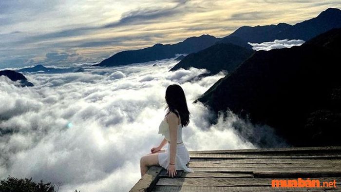 Săn mây ở độ cao trên 2.000m