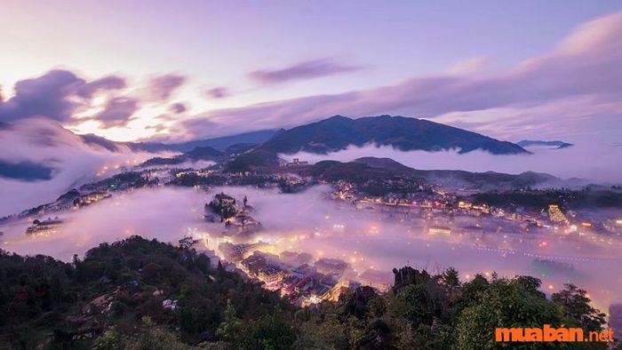 Săn mây ở độ cao trên 2.000m