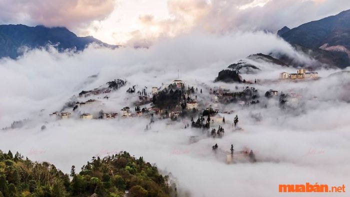 Săn mây ở độ cao trên 2.000m