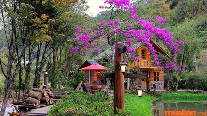 Ma Rừng Lữ Quán
