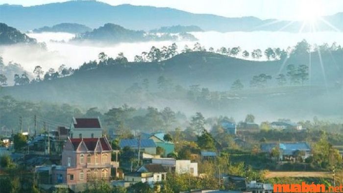 Ma Rừng Lữ Quán