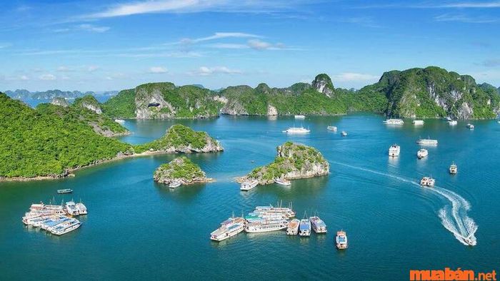 Đảo Cát Bà - những điểm check-in không thể bỏ qua ở Hải Phòng