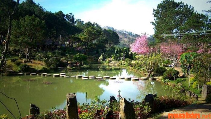Ma Rừng Lữ Quán