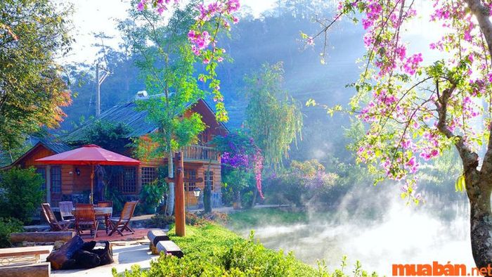 Ma Rừng Lữ Quán