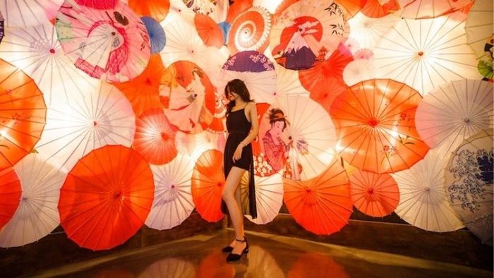 Hình ảnh ấn tượng của du khách tại Vườn Ánh Sáng Lumiere Đà Lạt 6 (Ảnh: Sưu tầm)