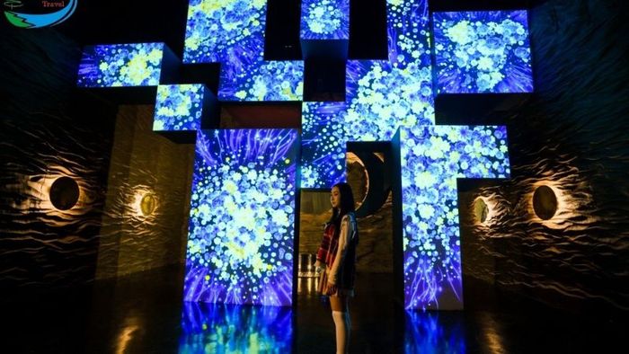 Hình ảnh ấn tượng của du khách tại Vườn Ánh Sáng Lumiere Đà Lạt 7 (Ảnh: Sưu tầm)