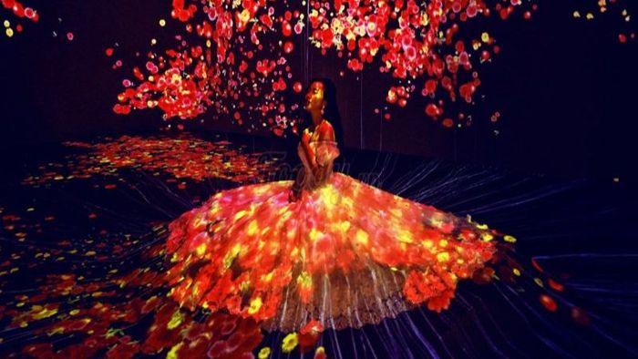Trải nghiệm sống ảo trong không gian 3D độc đáo và mới mẻ tại Lumiere (Ảnh: Sưu tầm)