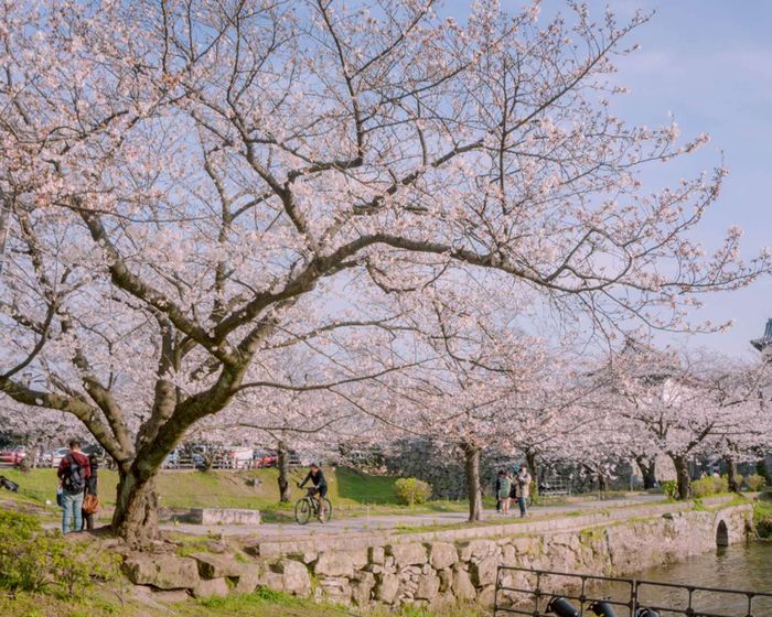 cách di chuyển từ sân bay Fukuoka về trung tâm
