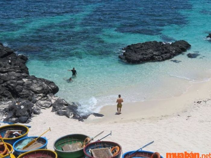 Bãi Ngang thuộc Lý Sơn