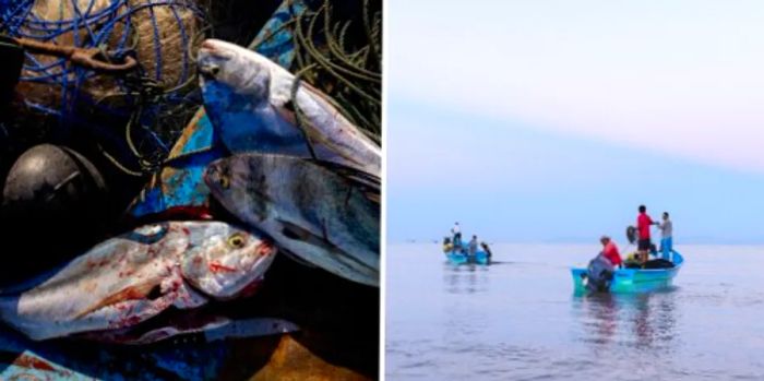 Left: A haul of fish. Right: Costa Rican fishermen engaged in their work.