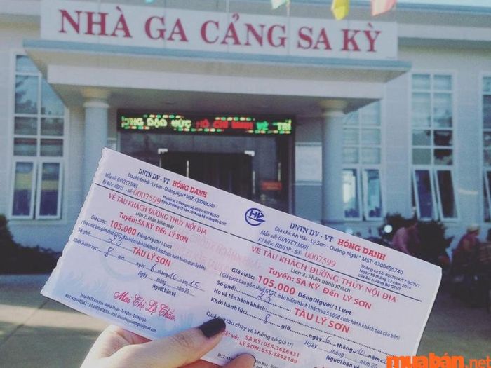 Hướng dẫn di chuyển đến đảo Lý Sơn