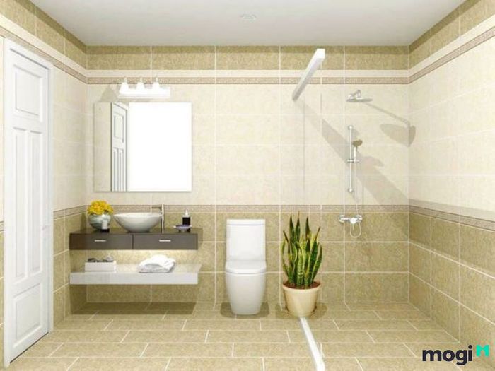 Không nên đặt cây lưỡi hổ trong phòng tắm.