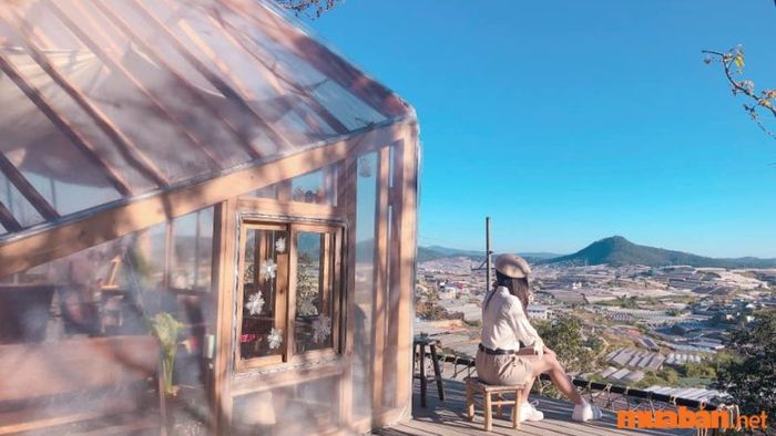 Túi Mơ To Cafe & Restaurant