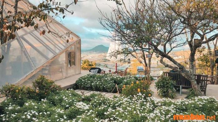 Túi Mơ To nằm ở đâu?