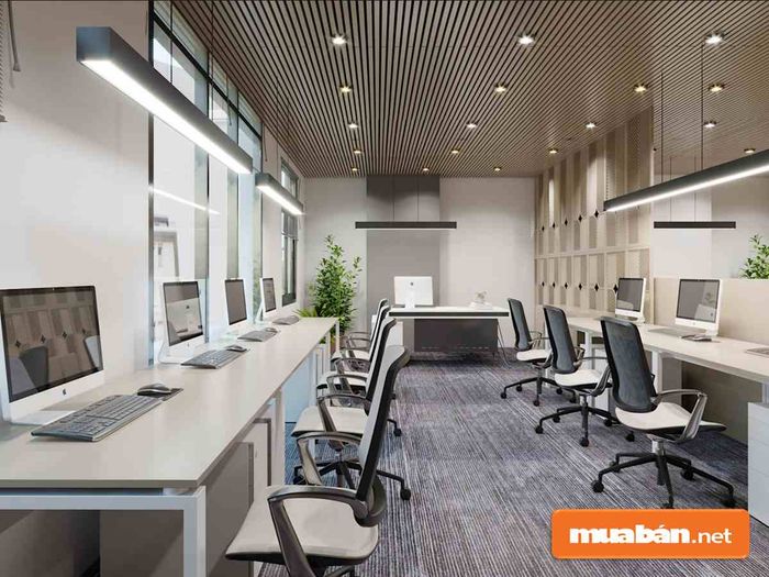 Khám phá 6 phương pháp bố trí văn phòng làm việc đơn giản và đẹp mắt