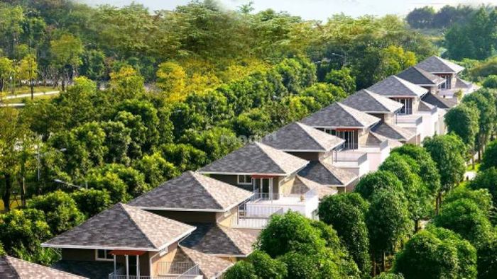 Biệt thự Vườn Tùng Ecopark (Hưng Yên)