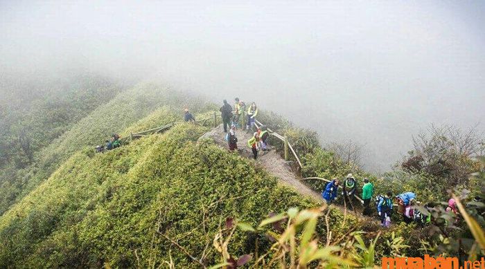 Du lịch Fansipan - khám phá núi