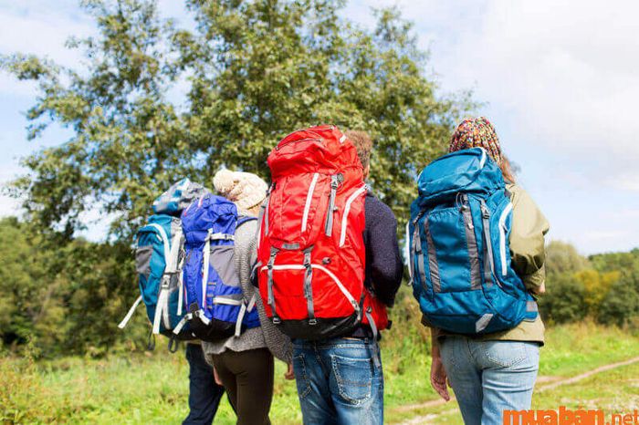 Cần chuẩn bị gì khi du lịch Fansipan?