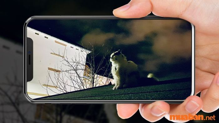 iPhone 15 được trang bị cảm biến ảnh chất lượng cao