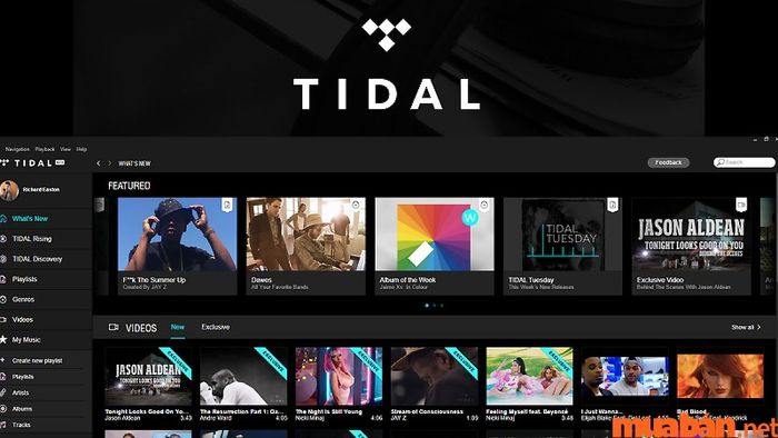 TIDAL Music mang đến một kho âm nhạc phong phú với chất lượng âm thanh cực kỳ cao
