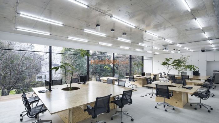 Tổng quan về thiết kế văn phòng