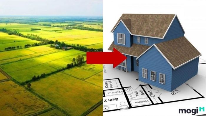 Các điều kiện để chuyển đổi sang đất thổ cư là gì?
