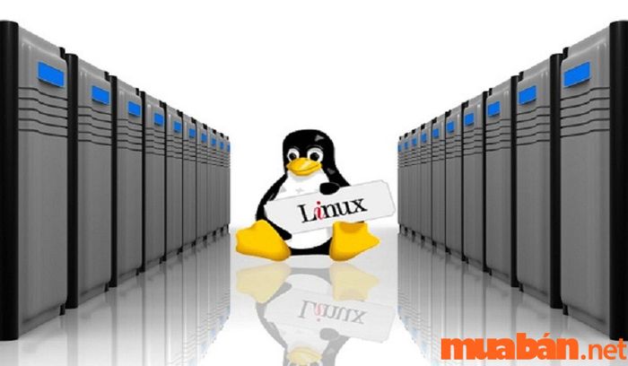 Một số thông tin về hệ điều hành Linux