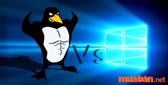 So sánh hệ điều hành Windows và Linux - Hãy cùng tìm hiểu ngay