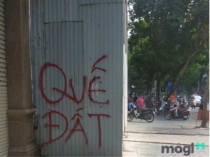 Quế đất còn có nhiều cách hiểu khác nhau.