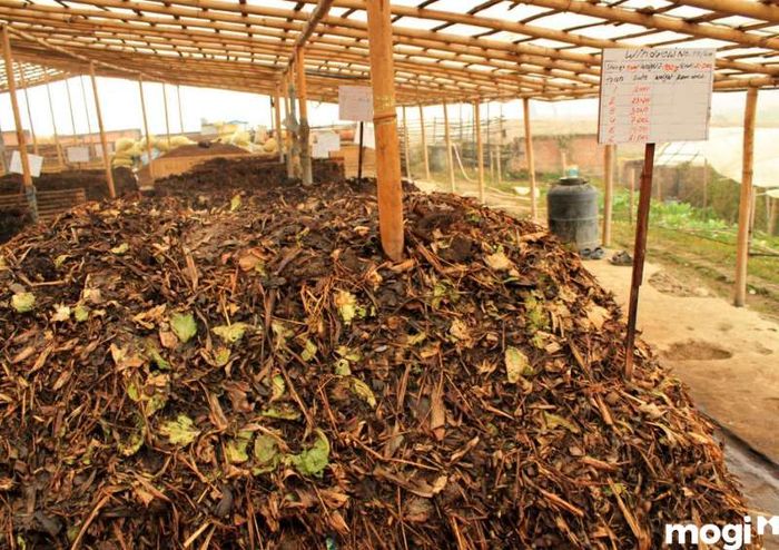 Biện pháp cải tạo đất chua thông qua việc bổ sung phân hữu cơ cho đất