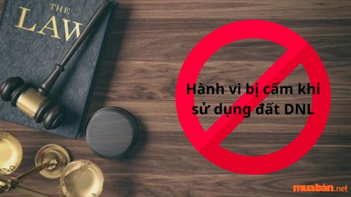 Những hành vi bị cấm khi sử dụng đất DNL