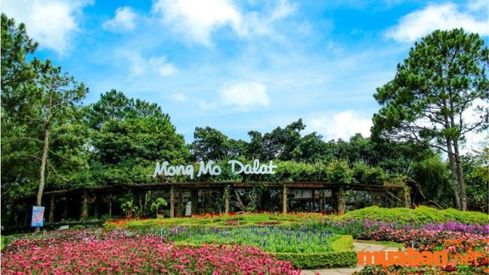 Đồi Mộng Mơ Đà Lạt