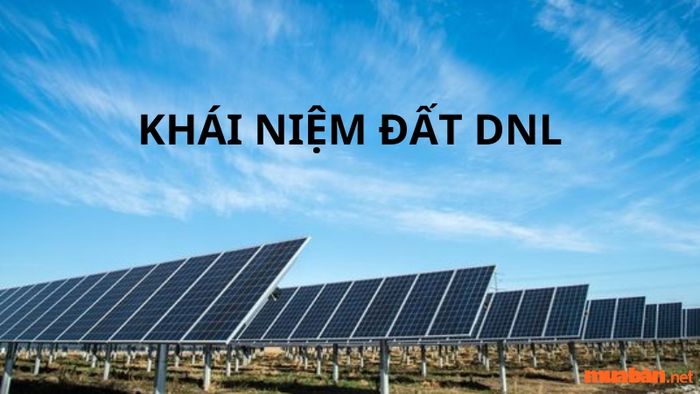 Đất DNL là gì?