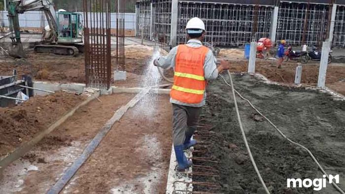 Ngăn chặn mối cho ngôi nhà mới xây bằng thuốc dạng bột
